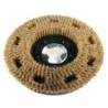 Brosse à polir compatible pour monobrosse GHIBLI SB-143 TSN - Ref origine 00-254, 00254